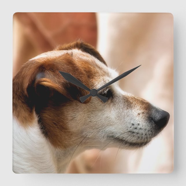 HORLOGE CARRÉE JACK RUSSELL TERRIER DOG (Recto)
