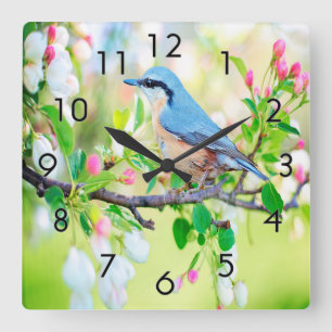 Horloge Carrée Jay bleu printemps
