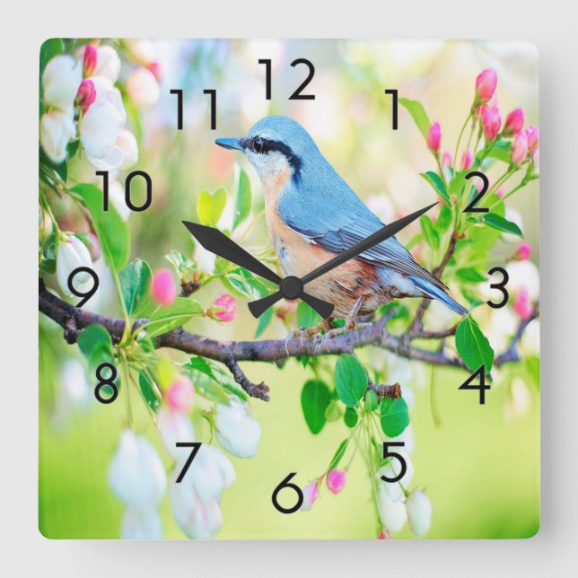 Horloge Carrée Jay bleu printemps (Recto)