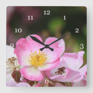 Horloge Carrée jolies fleurs de rose sauvage rose pour les dames