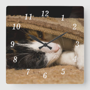 Horloge Carrée Jouer Sous L'Horloge Du Tapis