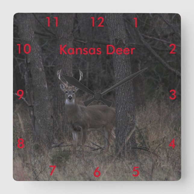 Horloge Carrée Kansas deer (Recto)