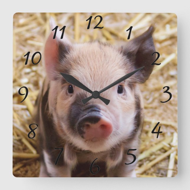 Horloge Carrée Kawaii cute adorable farm baby piglet pig animal (Recto)