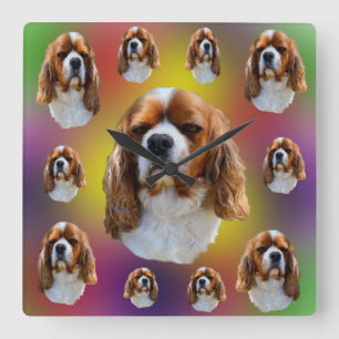 Horloge Carrée King Charles Cavalier Spaniel,