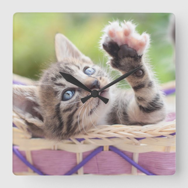 Horloge Carrée Kitten In A Basket (Recto)