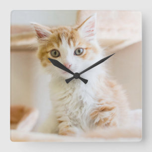 Horloge Carrée Kitten orange et blanc