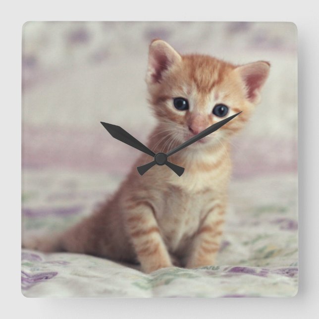 Horloge Carrée Kitten Tiny Ginger (Recto)