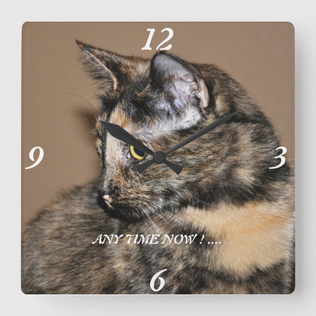Horloge Carrée Kitties Any Time Now Wall Clock ! (Recto)