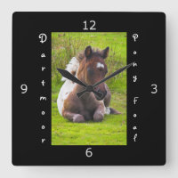 Kneeling Dartmoor Pony Foie