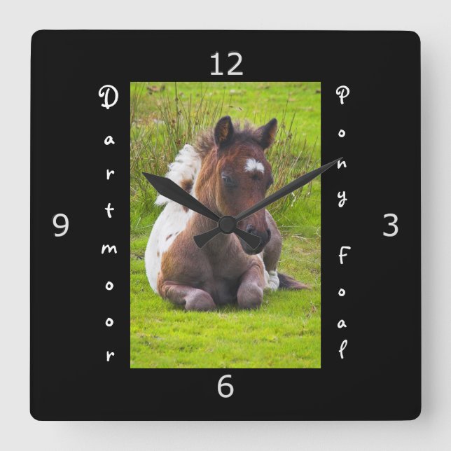 Horloge Carrée Kneeling Dartmoor Pony Foie (Recto)
