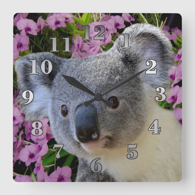 Horloge Carrée Koala et orchidées (Recto)