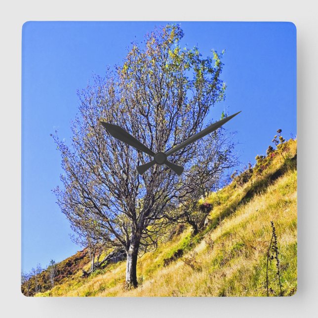 HORLOGE CARRÉE L0NE TREE (Recto)