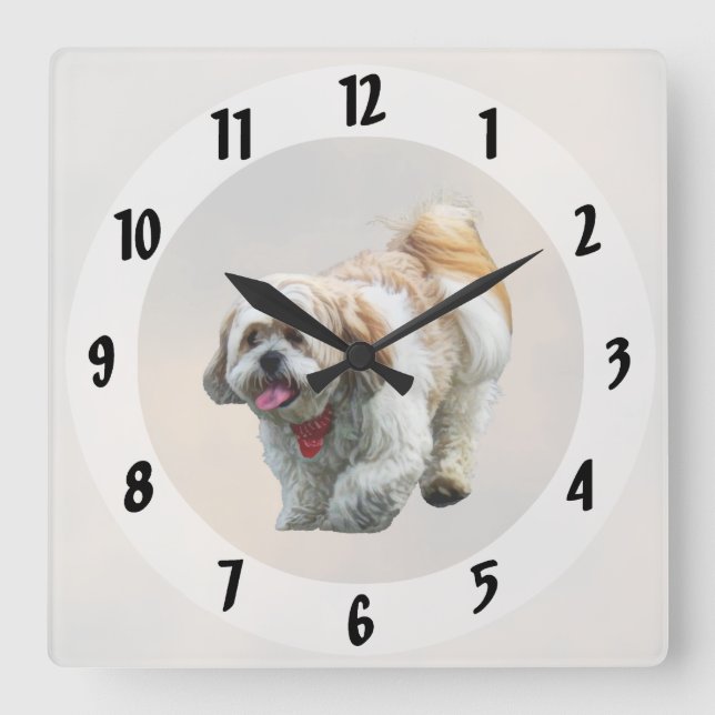 Horloge Carrée La marche de Shih Tzu (Recto)