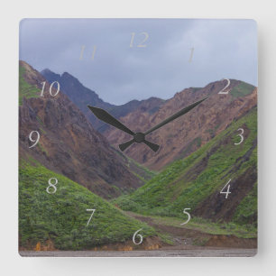 Horloge Carrée La vallée de la rivière Toklat à Denali
