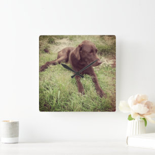 Horloge Carrée Laboratoire de chocolat se situant en photographie