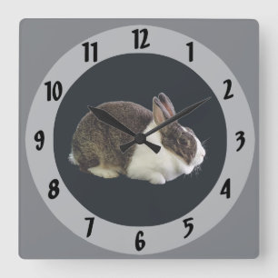 Horloge Carrée Lapin néerlandais Brown et blanc