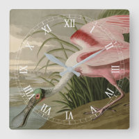 Le bec-de-rose des Oiseaux d'Amérique d'Audubon