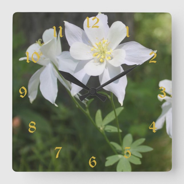 Horloge Carrée Le Colorado Columbine blanc numéroté (Recto)
