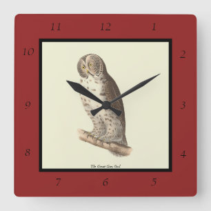 Horloge Carrée Le grand hibou gris (Strix nebulosa) NY Bird Image
