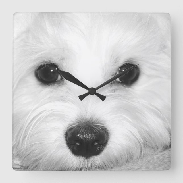 Horloge Carrée Le Maltais du regard magique sous les yeux et les  (Recto)