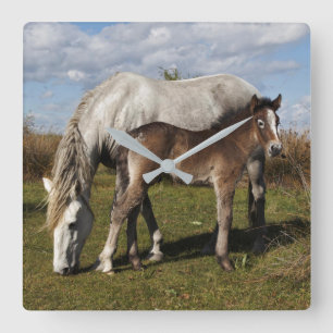 Horloge Carrée Le poulain de Camargue à cheval avec sa mère
