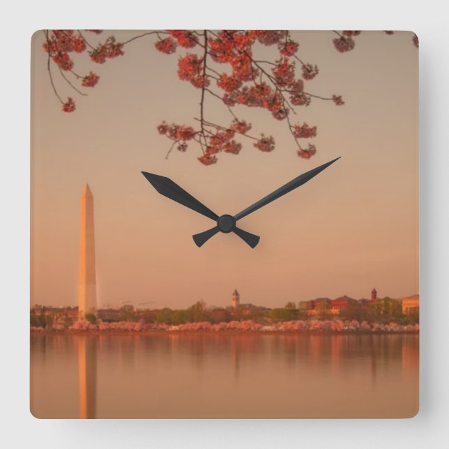 Horloge Carrée Le Sakura de Washington est sunset. (Recto)