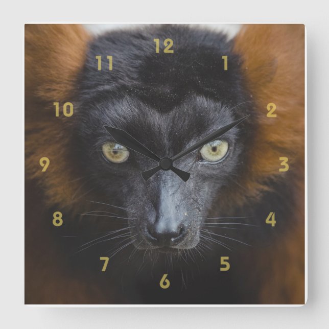 Horloge Carrée Lemur intense (Recto)