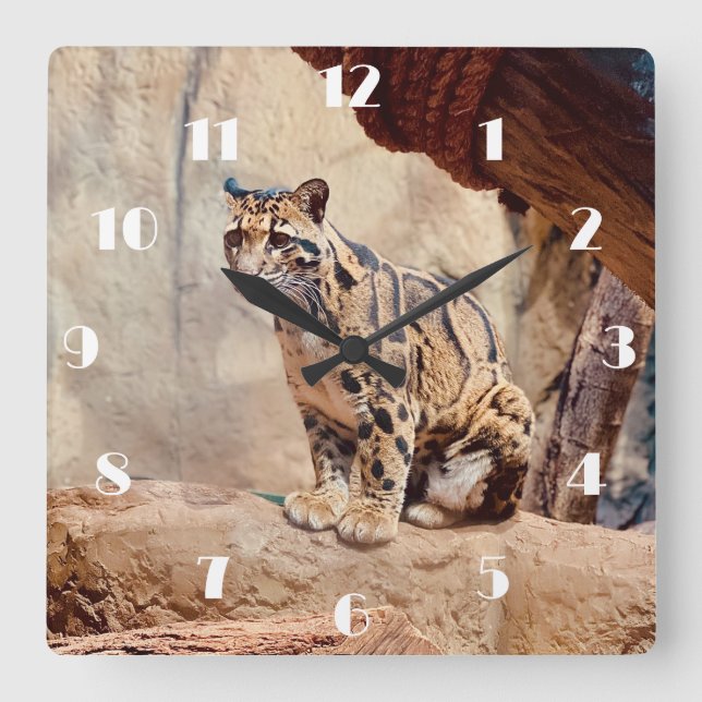 Horloge Carrée léopard nébuleux image nature faune exotique (Recto)