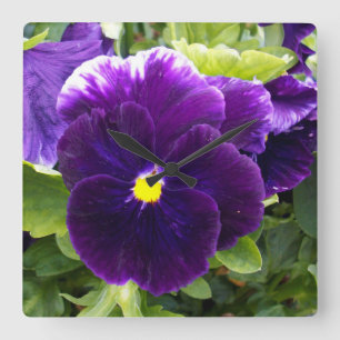 Horloge Carrée les Delights Purple Pansy,