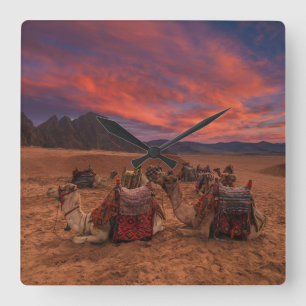 Horloge Carrée Les déserts   Camels Sinai Mountains Egypte