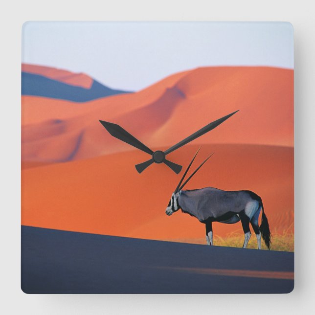 Horloge Carrée Les déserts | Namib Desert Oryx (Recto)