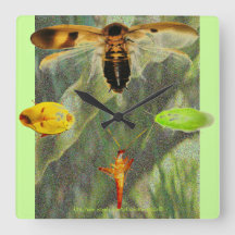 Les enthousiastes de gardon "de gardon d'horloge"