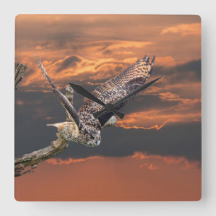 Horloge Carrée Les oiseaux du hibou de proie photographient dans