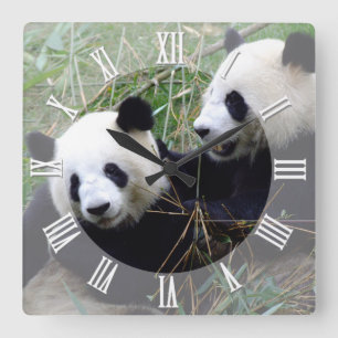 Horloge Carrée Les ours de panda géants aiment jouer / famille Pa