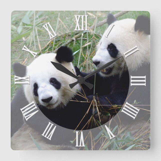 Horloge Carrée Les ours de panda géants aiment jouer / famille Pa (Recto)
