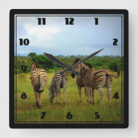 Les zèbres africains dans un cadre naturel