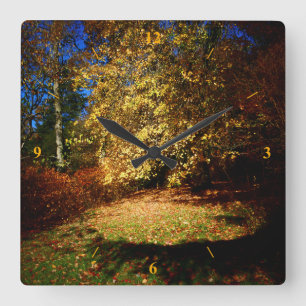 Horloge Carrée L'explosion d'automne sur la promenade Stourhead.