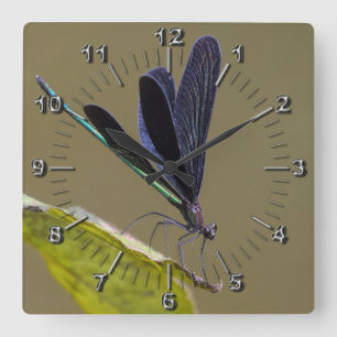 Horloge Carrée Libellule