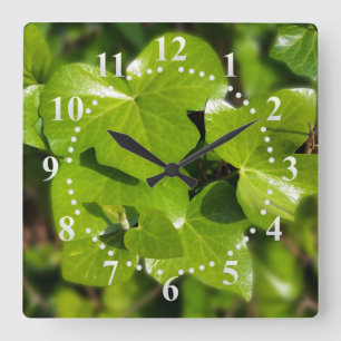 Horloge Carrée lierre au soleil