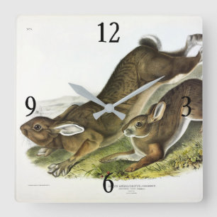 Horloge Carrée Lièvre d'Amérique, été (lièvre du Nord) par Audubo