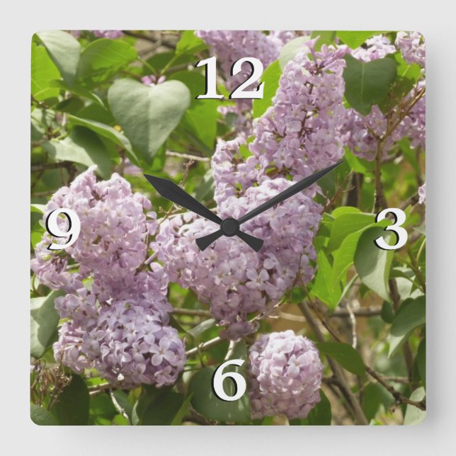 Horloge Carrée Lilac Bush Belles fleurs de printemps violettes (Recto)