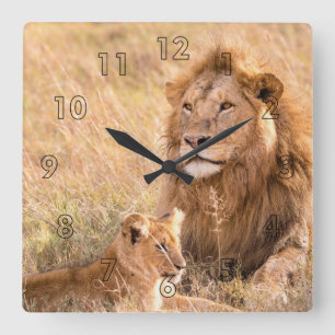 Horloge Carrée Lion and Her Cub