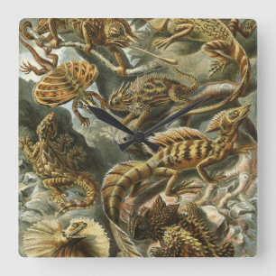 Horloge Carrée Lizards par Ernst Haeckel Vintage Lacertilia Anima