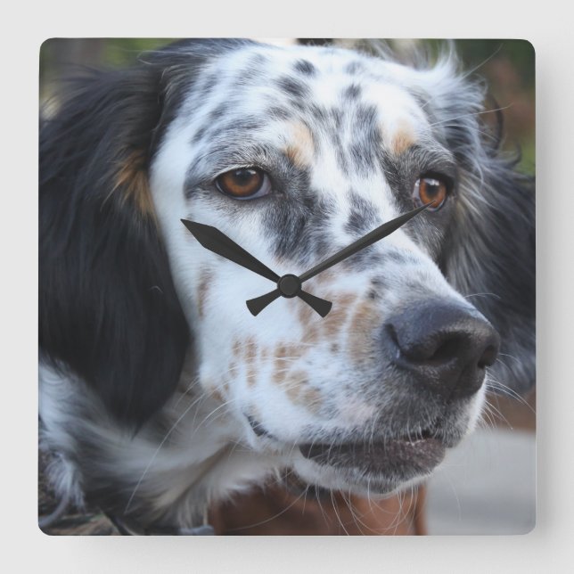 Horloge Carrée Llewellin Setter Wall Clock (Recto)