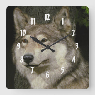 Horloge Carrée Loup