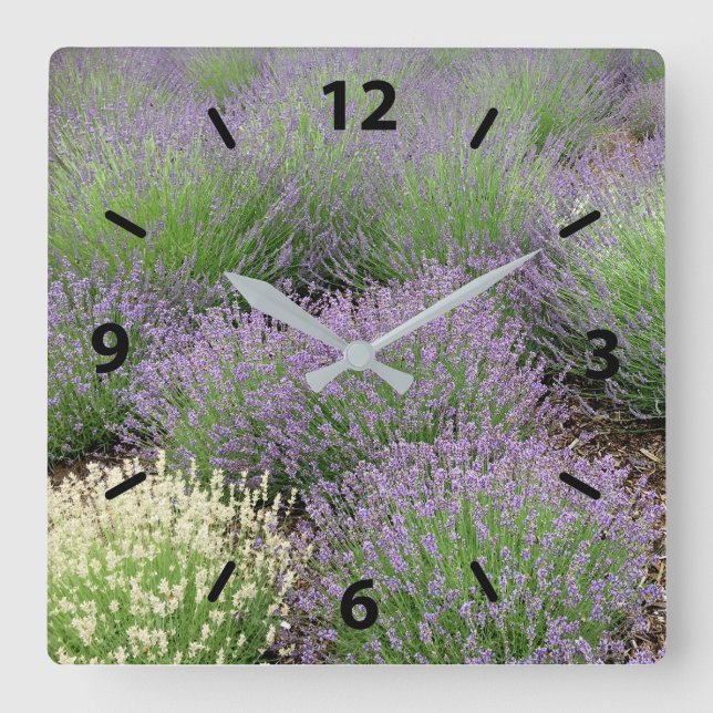 Horloge Carrée Lovely Lavender (Recto)