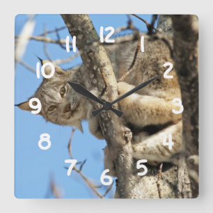 Horloge Carrée Lynx espiègle