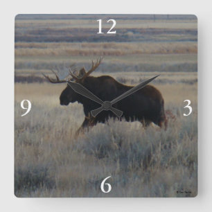 Horloge Carrée M2 Bull Moose