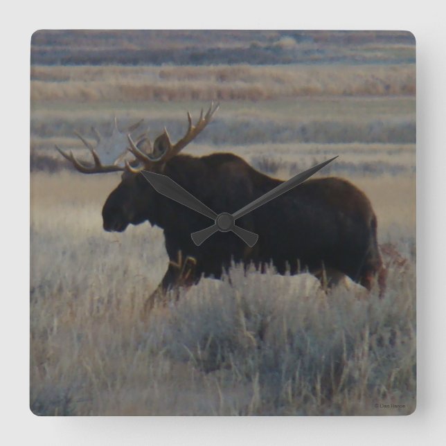 Horloge Carrée M2 Bull Moose (Recto)