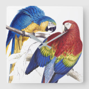 Horloge Carrée Macaw Parrot Birds Animals Wall Clock